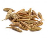 Cumin Seeds